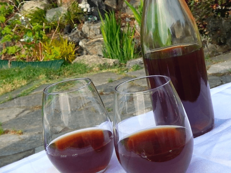 homemade mulberry wine