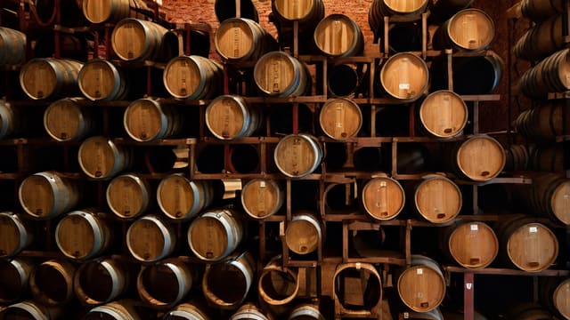 Winemaking Steps