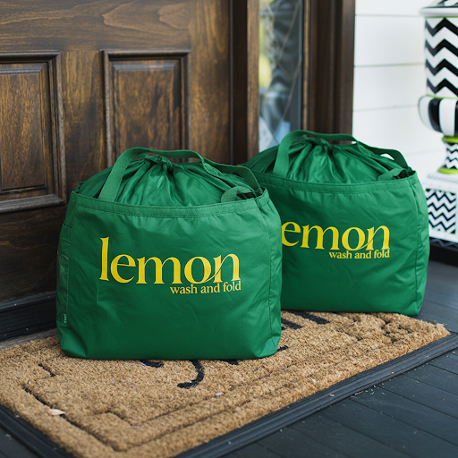 Lemon Laundry premium laundry pickup and delivery in Metter and Claxton