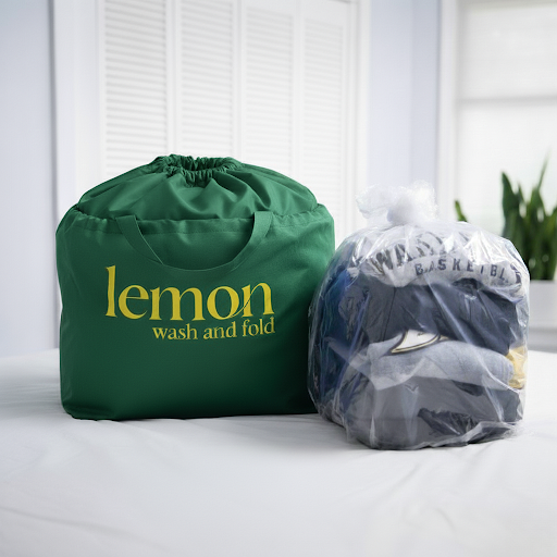 Pooler GA laundry pickup and delivery