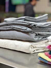 Lemon Laundry premium laundry pickup and delivery in Screven County GA