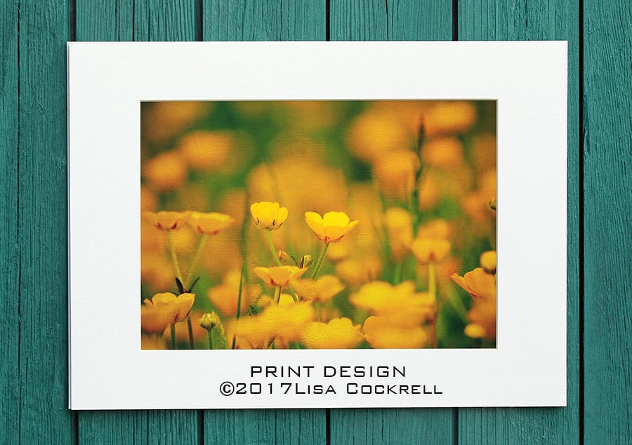 BUTTERCUP MEADOW PRINT (A4 approx) MOUNTED FOR 40 X 30 CM FRAME