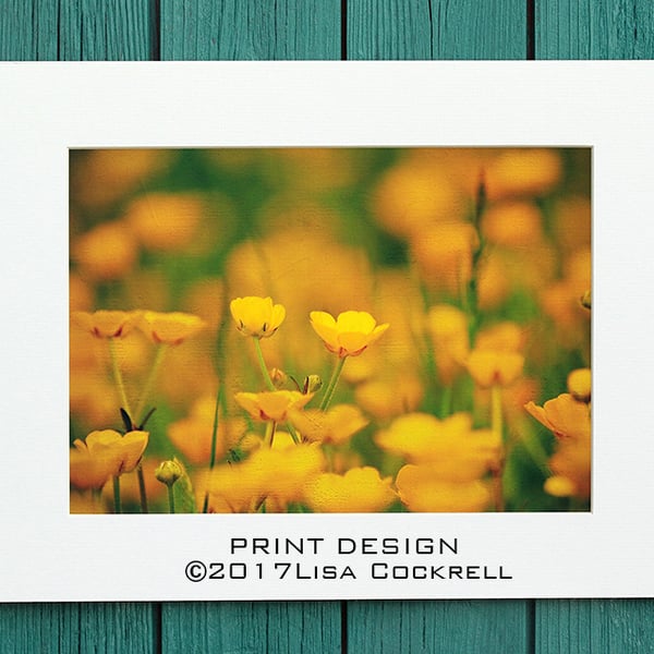 BUTTERCUP MEADOW PRINT (A4 approx) MOUNTED FOR 40 X 30 CM FRAME