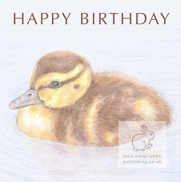 Duckling - Birthday Card