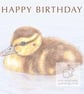 Duckling - Birthday Card - Image 1