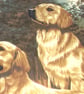 Two golden retrievers ready and waiting cushion - Image 4