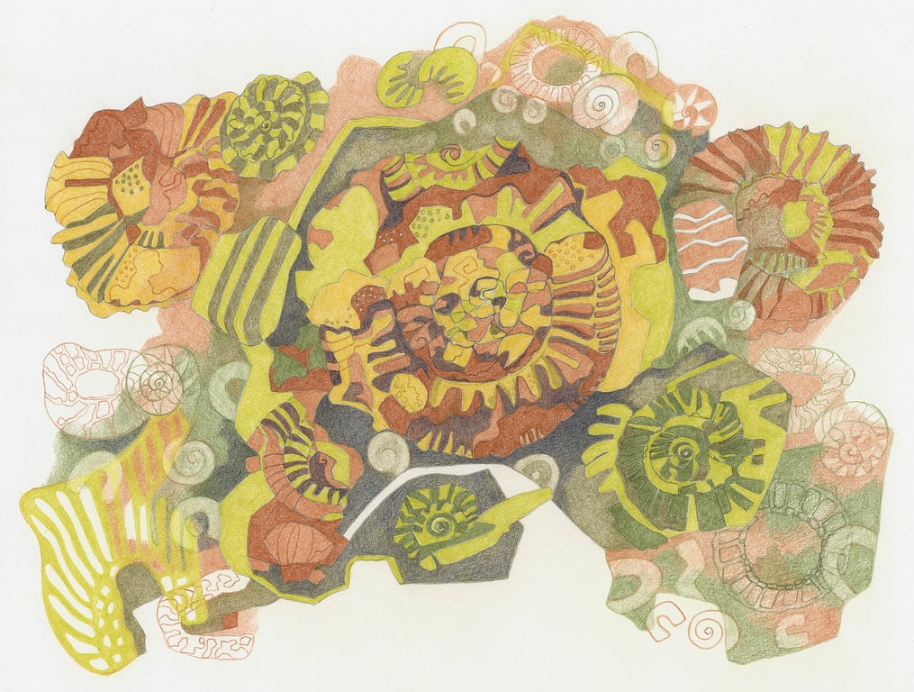 `Fossil Fragments` - coloured pencil drawing.