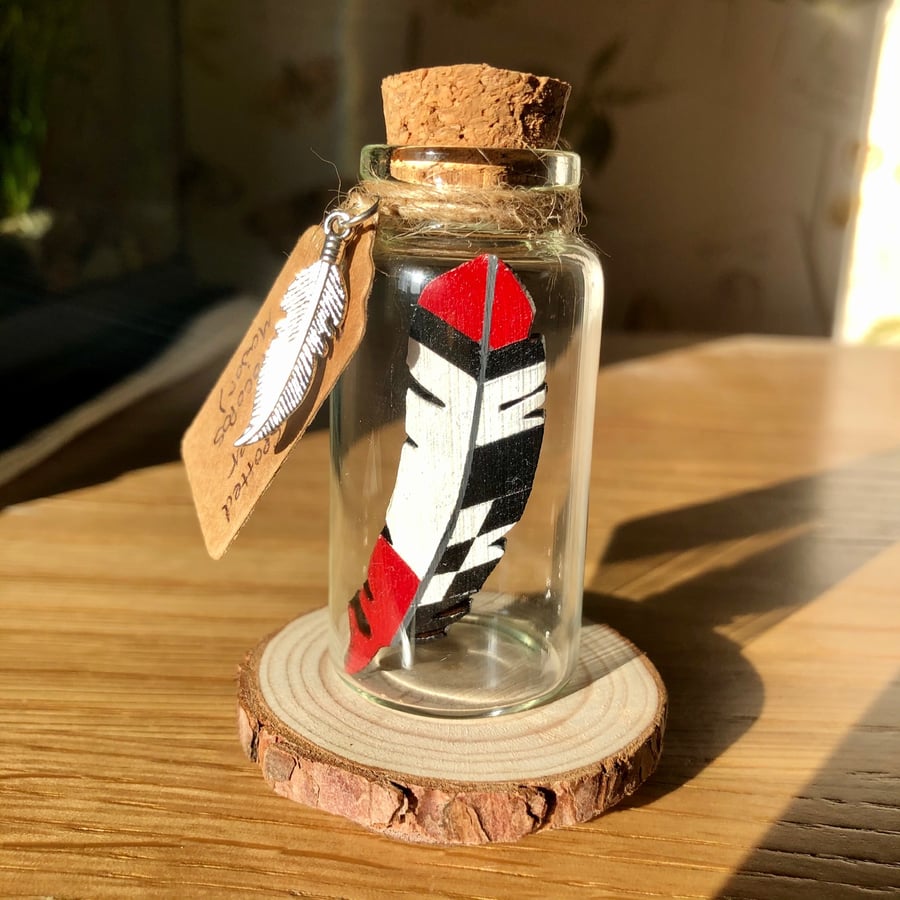 Feather in a Bottle - Great Spotted Woodpecker 