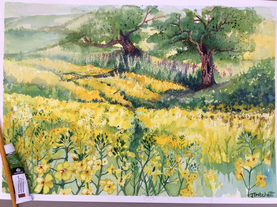 Fields of rapeseed watercolour painting