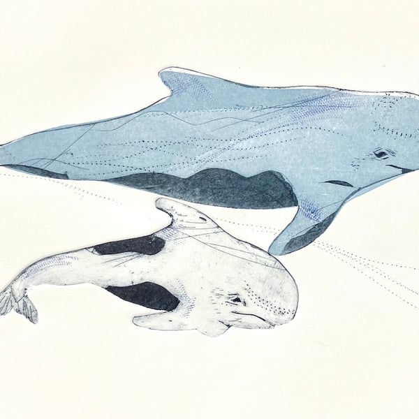 Pilot Whale and calf A4 drypoint print