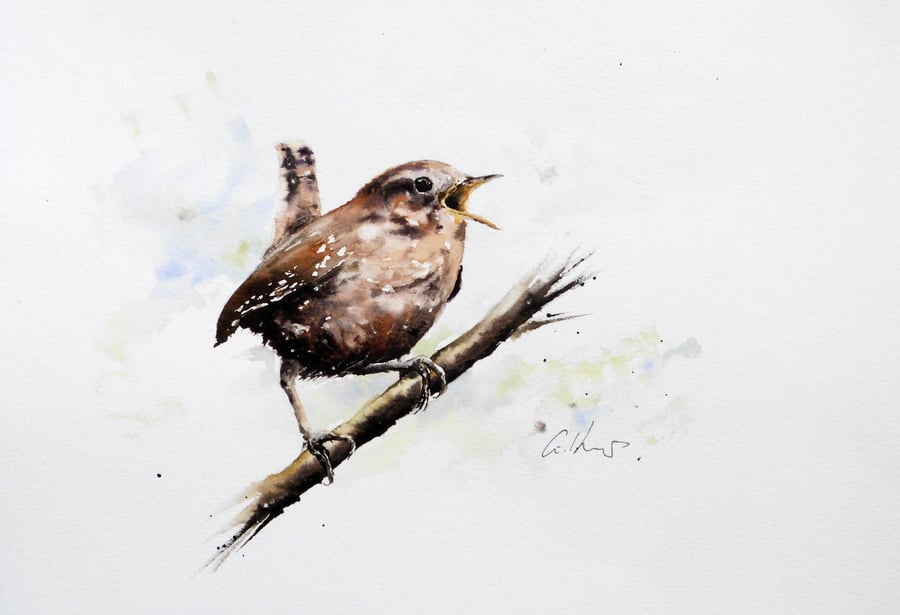 Wren, Original Watercolour Painting.