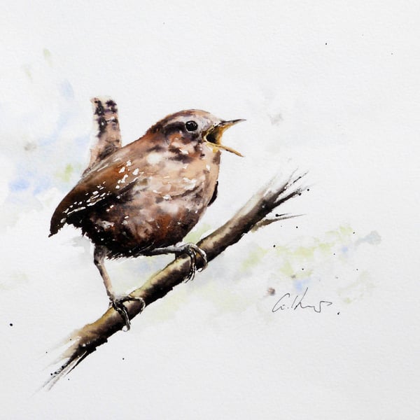 Wren, Original Watercolour Painting.