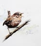 Wren, Original Watercolour Painting. - Image 1