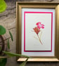 Dianthus Pontederae Botanical Greeting Card – Pinks & Greens Collection - Image 3