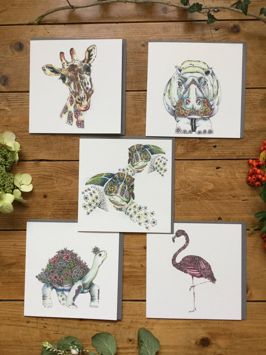 Brand new ‘Wild’ mixed greeting card pack 