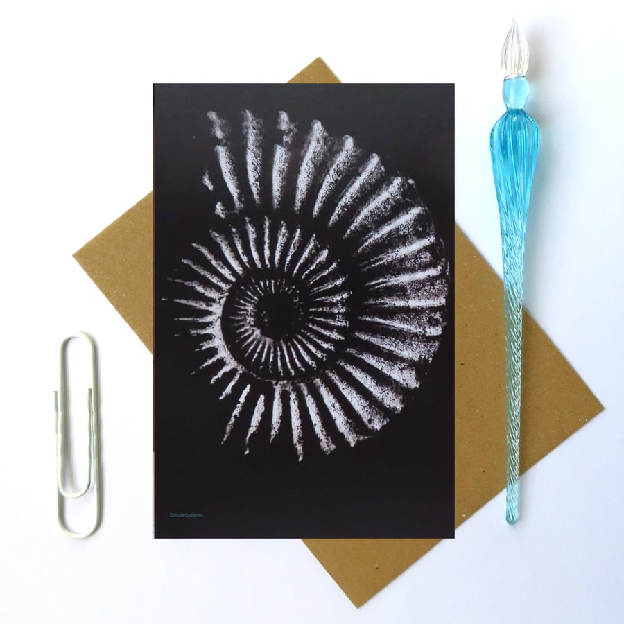 Ammonite design blank greeting card on black