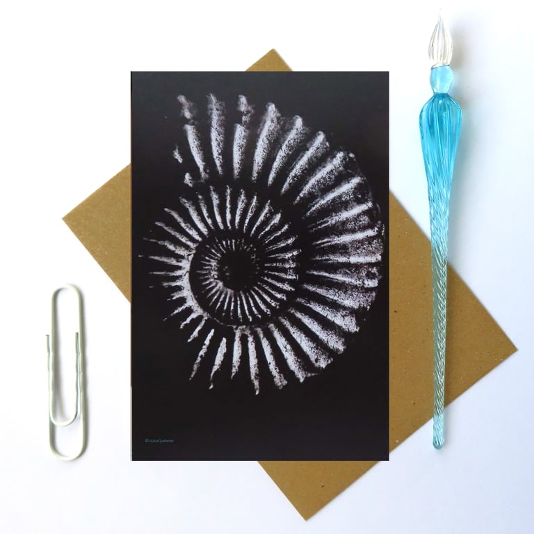 Ammonite design blank greeting card on black