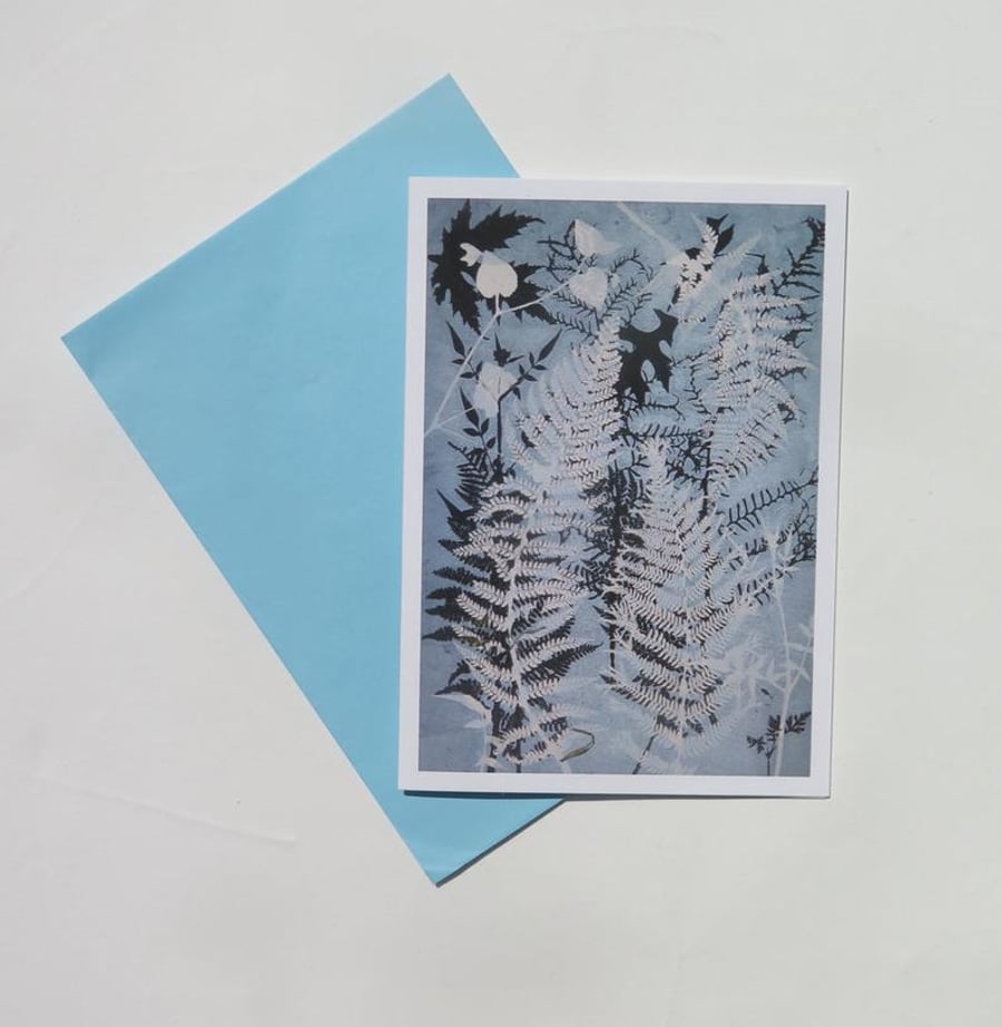 A single blank card from nature print by Stef Mitchell - Dancing Ferns
