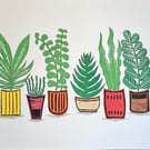 House Plant Display Lino Print