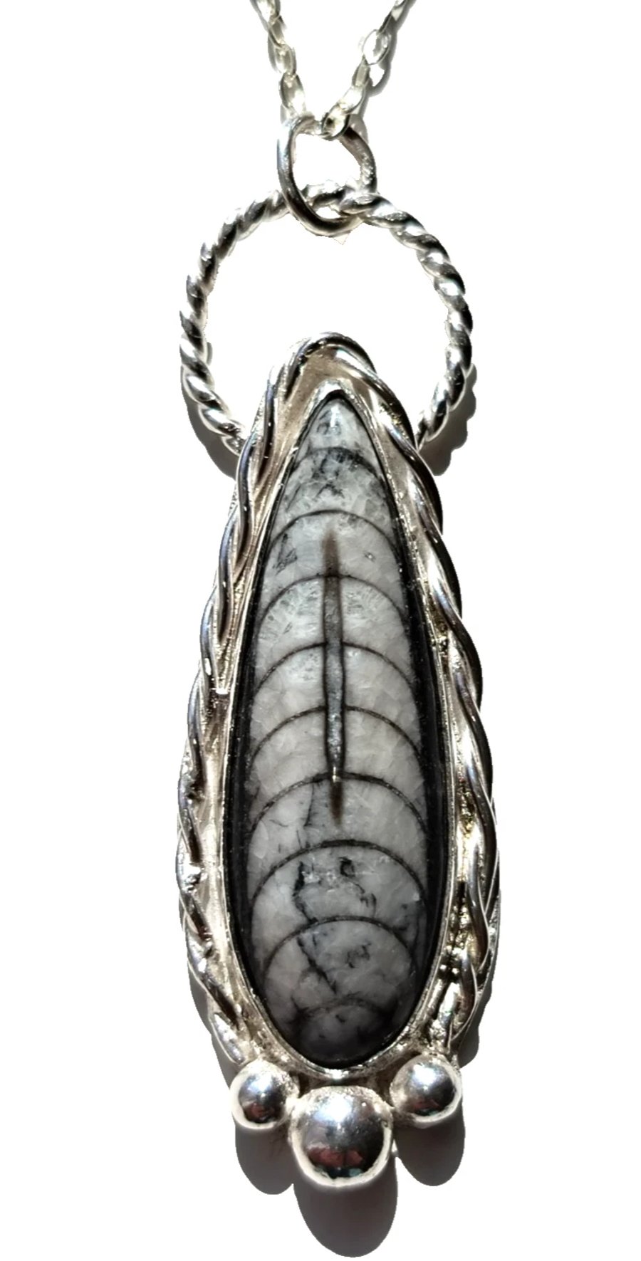 Orthoceras Fossil Necklace Jewellery Gift Recycled Silver Teardrop Pendant 