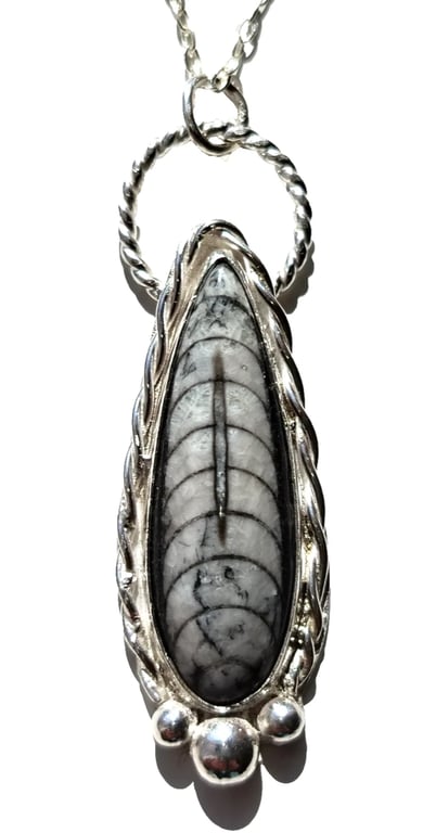 Orthoceras Fossil Necklace Jewellery Gift Recycled Silver Teardrop Pendant 