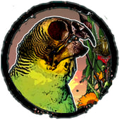 The House of Dead Birds