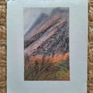 Langdale Autumn