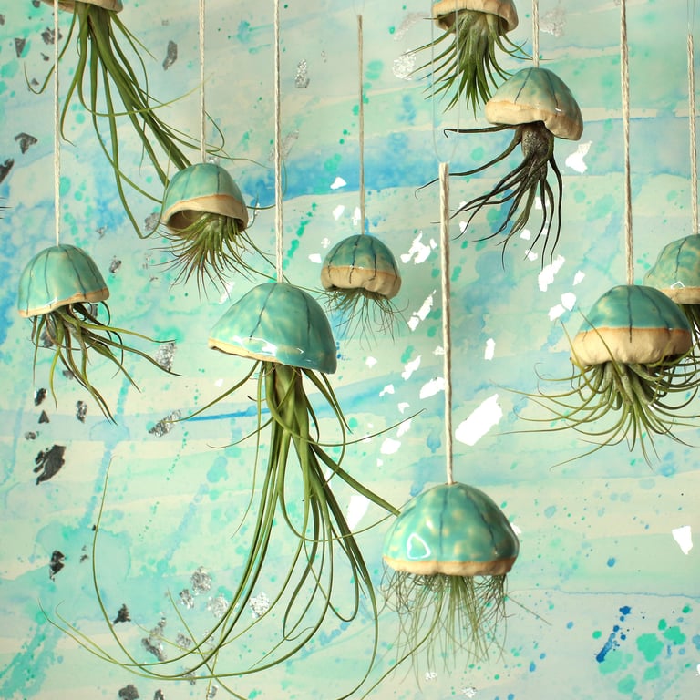 Stoneware Jellyfish Air Plants, Hanging Decorations, Unique Gift
