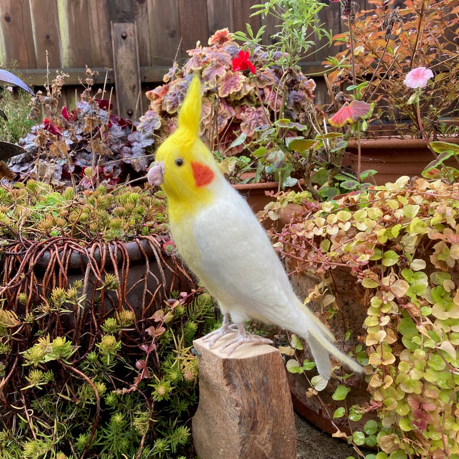 White needle felted cockatiel
