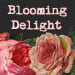 Blooming Delight Jewellery