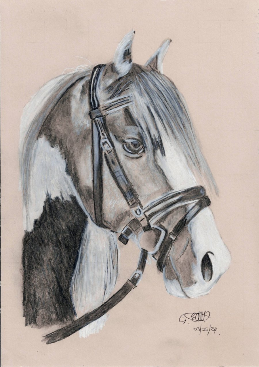 Graphte drawing of a horse head 4