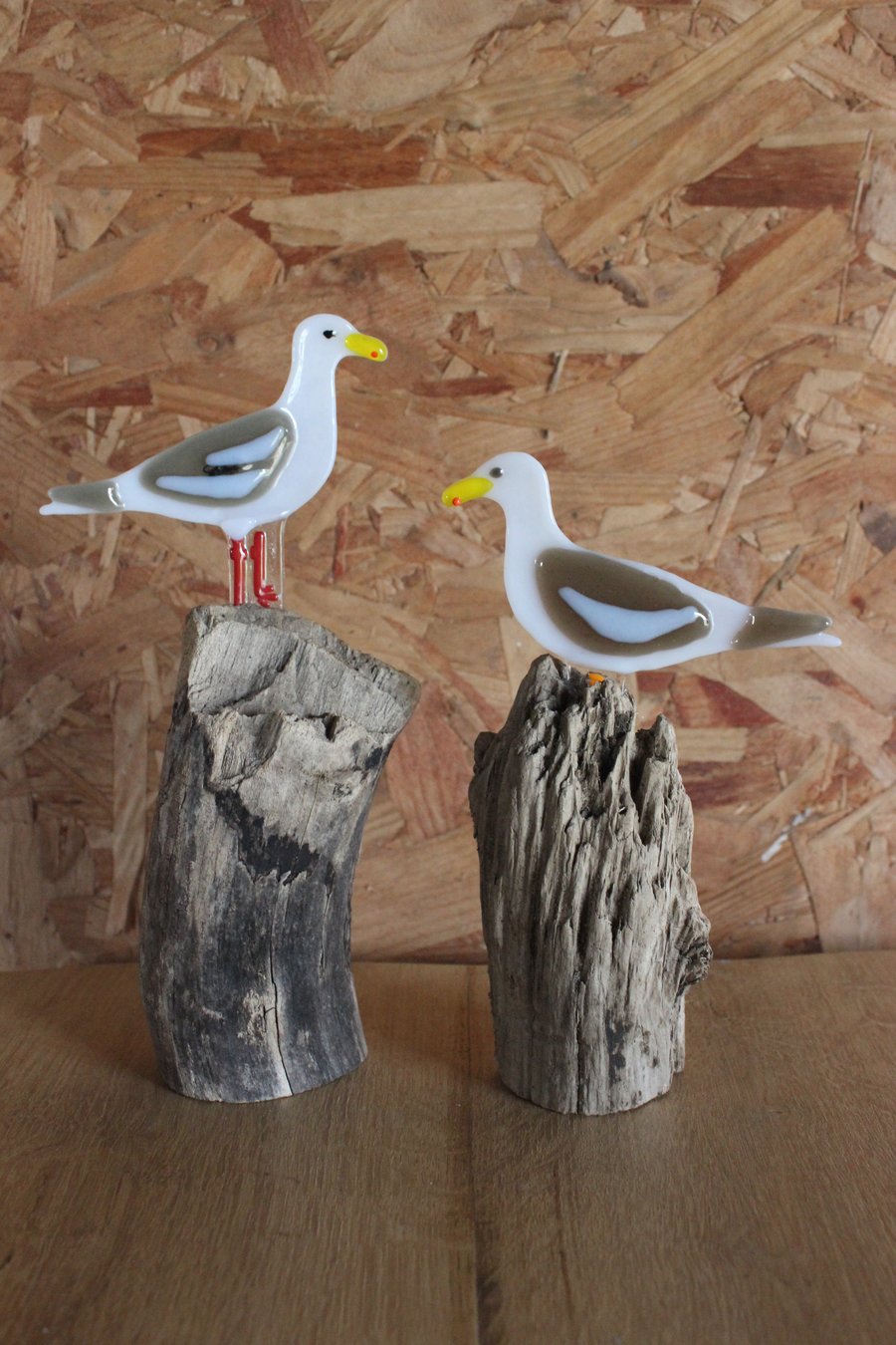 Seagull on driftwood