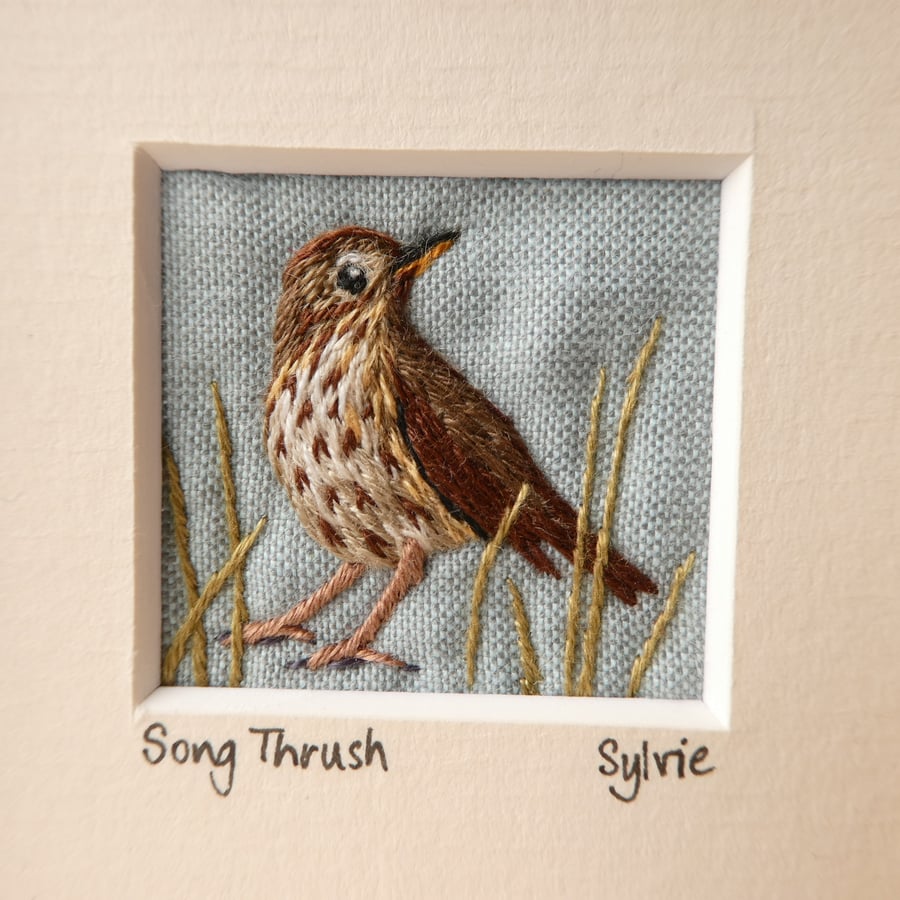 Song Thrush, hand stitched picture