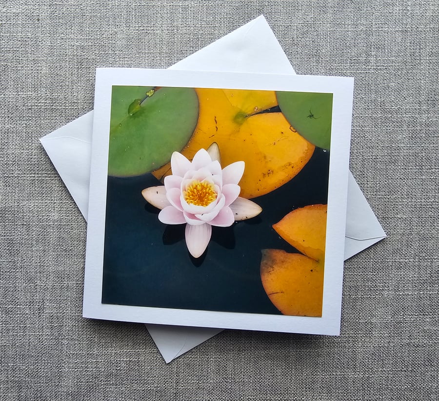 Water Lily Square Photographic Card 6" x 6" 