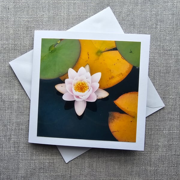 Water Lily Square Photographic Card 6" x 6" 
