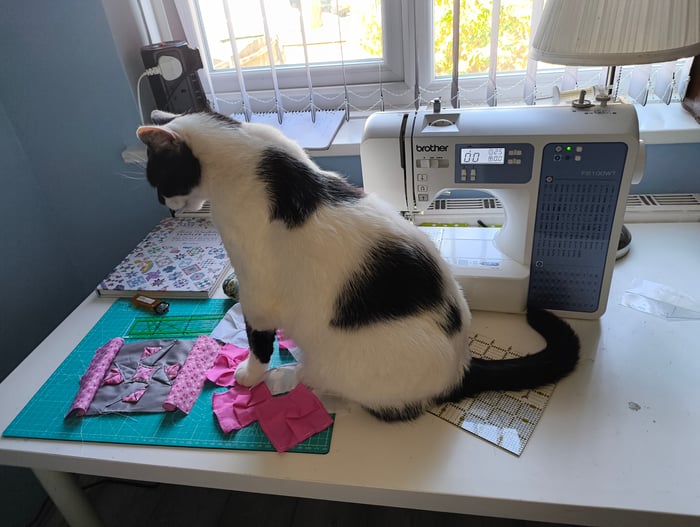 Mazie's Colourful Crafts