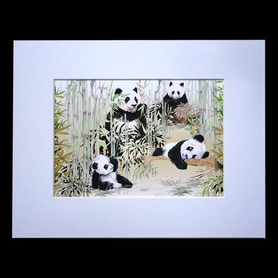 Bamboo of Pandas Art Print and Mount 