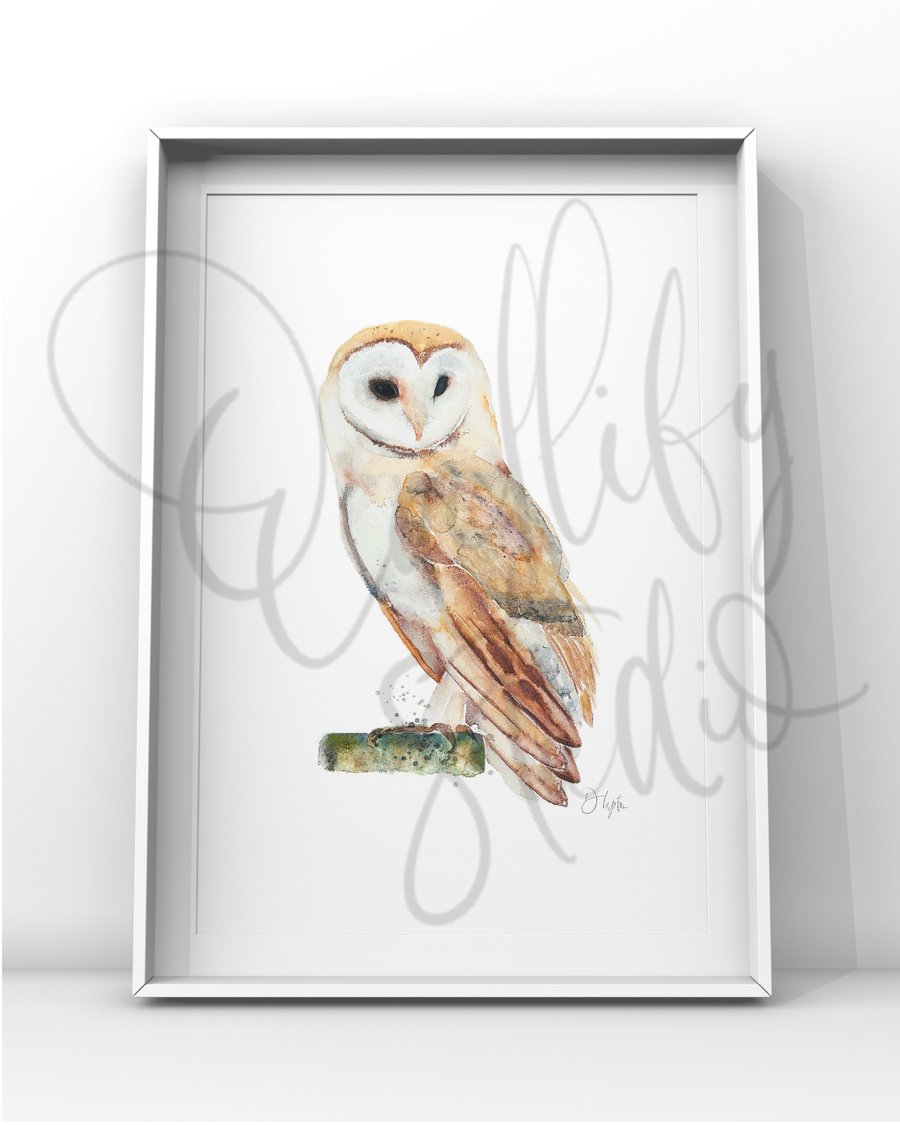 Watercolour Print Barn Owl Dignity