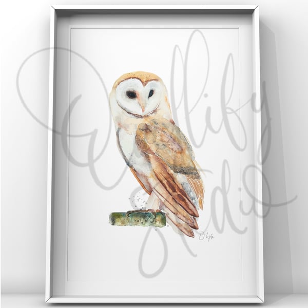Watercolour Print Barn Owl Dignity