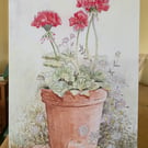 Red Geranium greetings card