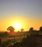 Sunset Over Fields - Print - Image 7
