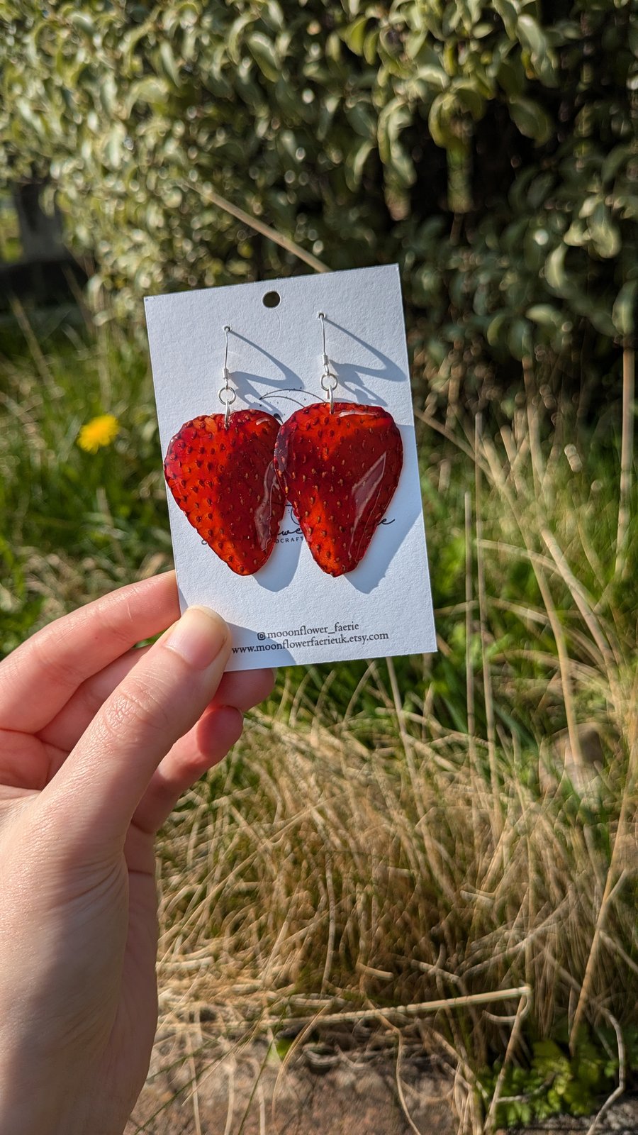 Real Strawberry Earrings - Dried Fruit Jewellery 