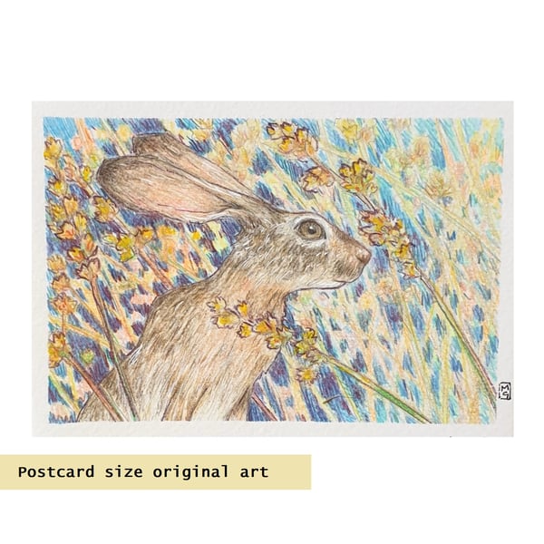 Little Hare drawing, small original art, letterbox gift