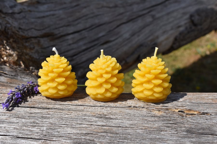 Set of 3, 5 or 10 Pure Beeswax Pine Cone Candles - Handmade in Cornwall