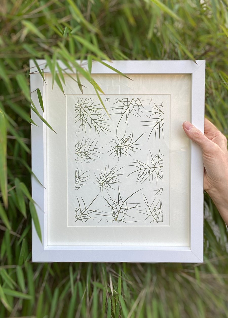 Nigella Pressed Foliage Giclee Print - Unframed - A4 Wall Art