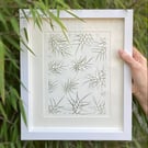 Nigella Pressed Foliage Giclee Print - Unframed - A4 Wall Art