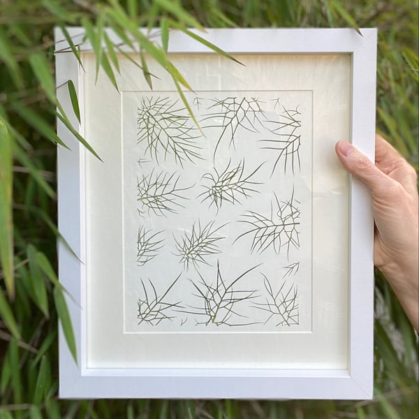 Nigella Pressed Foliage Giclee Print - Unframed - A4 Wall Art