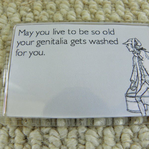May You Live To Be So Old Magnet