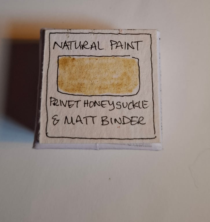 Pot of Hand Made Watercolour Paint from Natural Recourses. Privet Honeysuckle