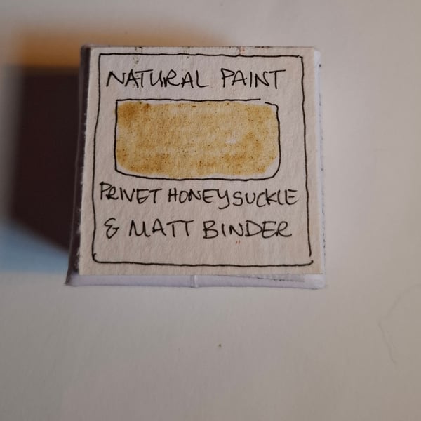 Pot of Hand Made Watercolour Paint from Natural Recourses. Privet Honeysuckle